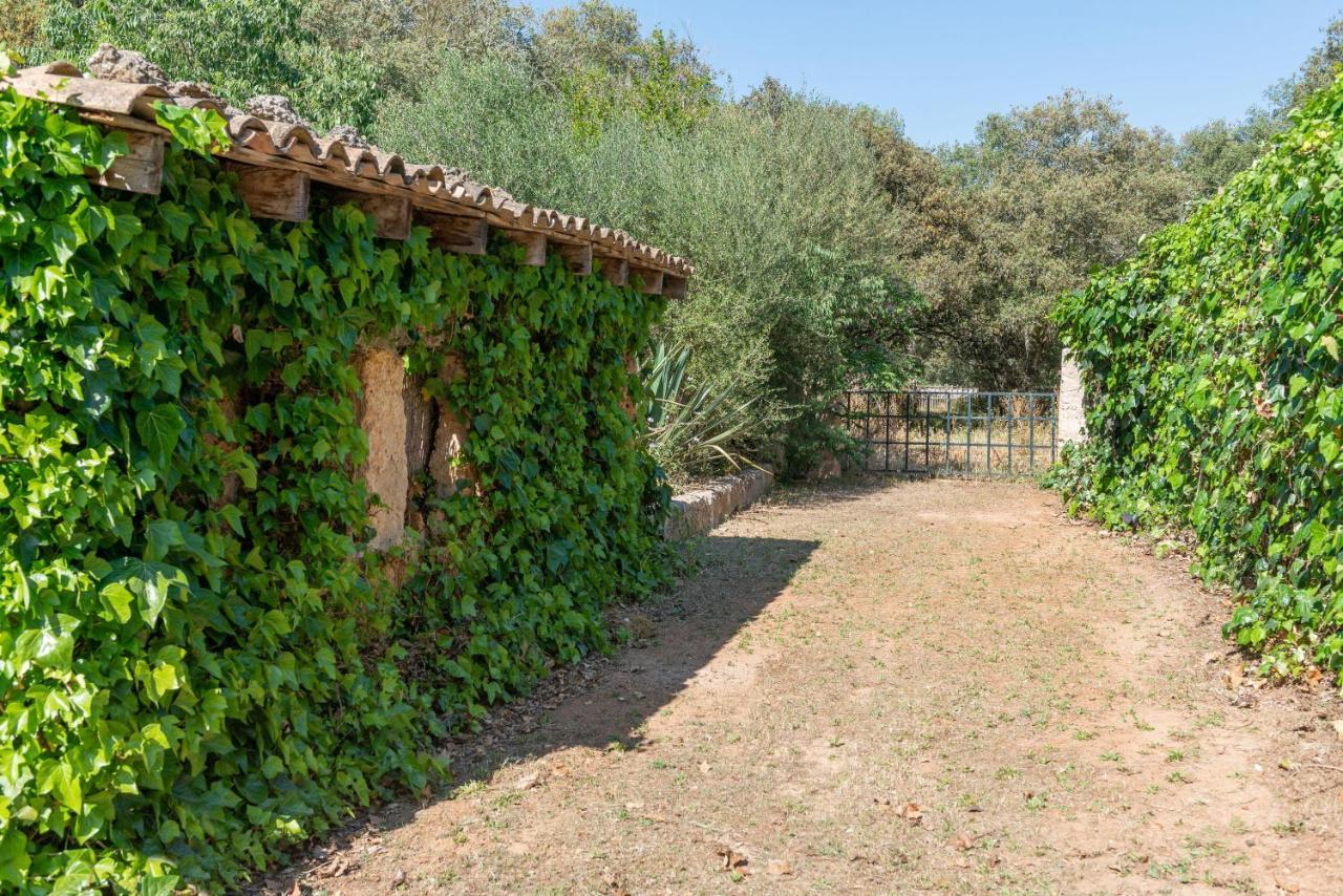 אינקה Sunset Private Eco-Villa Can Vey מראה חיצוני תמונה