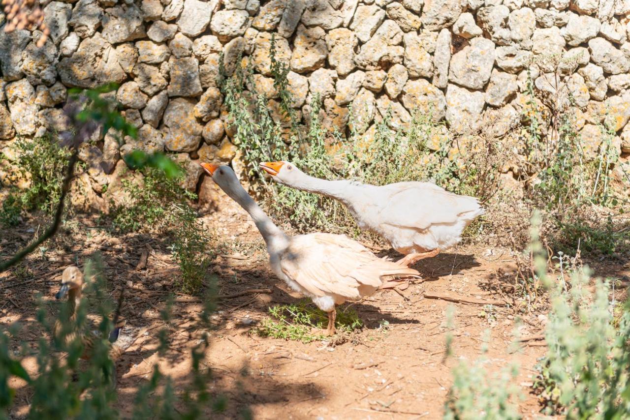 אינקה Sunset Private Eco-Villa Can Vey מראה חיצוני תמונה